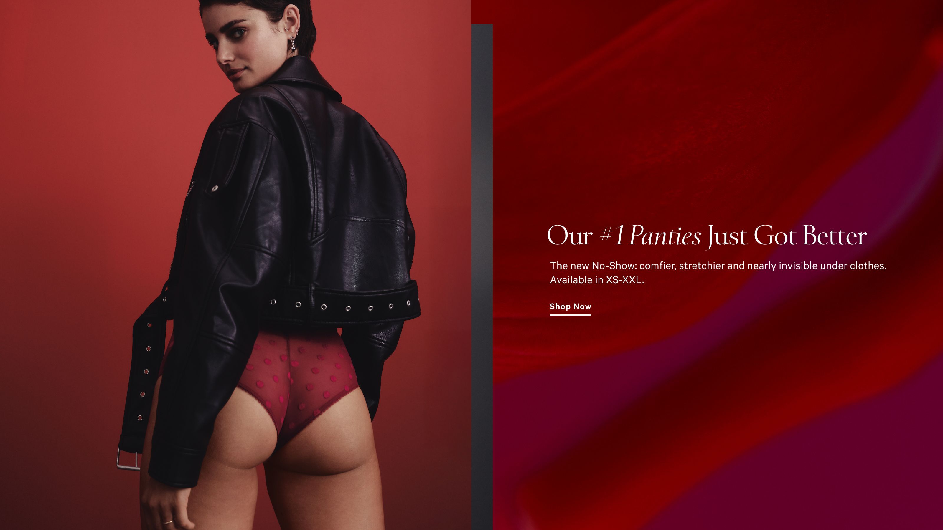 VSL-HB2-Panties