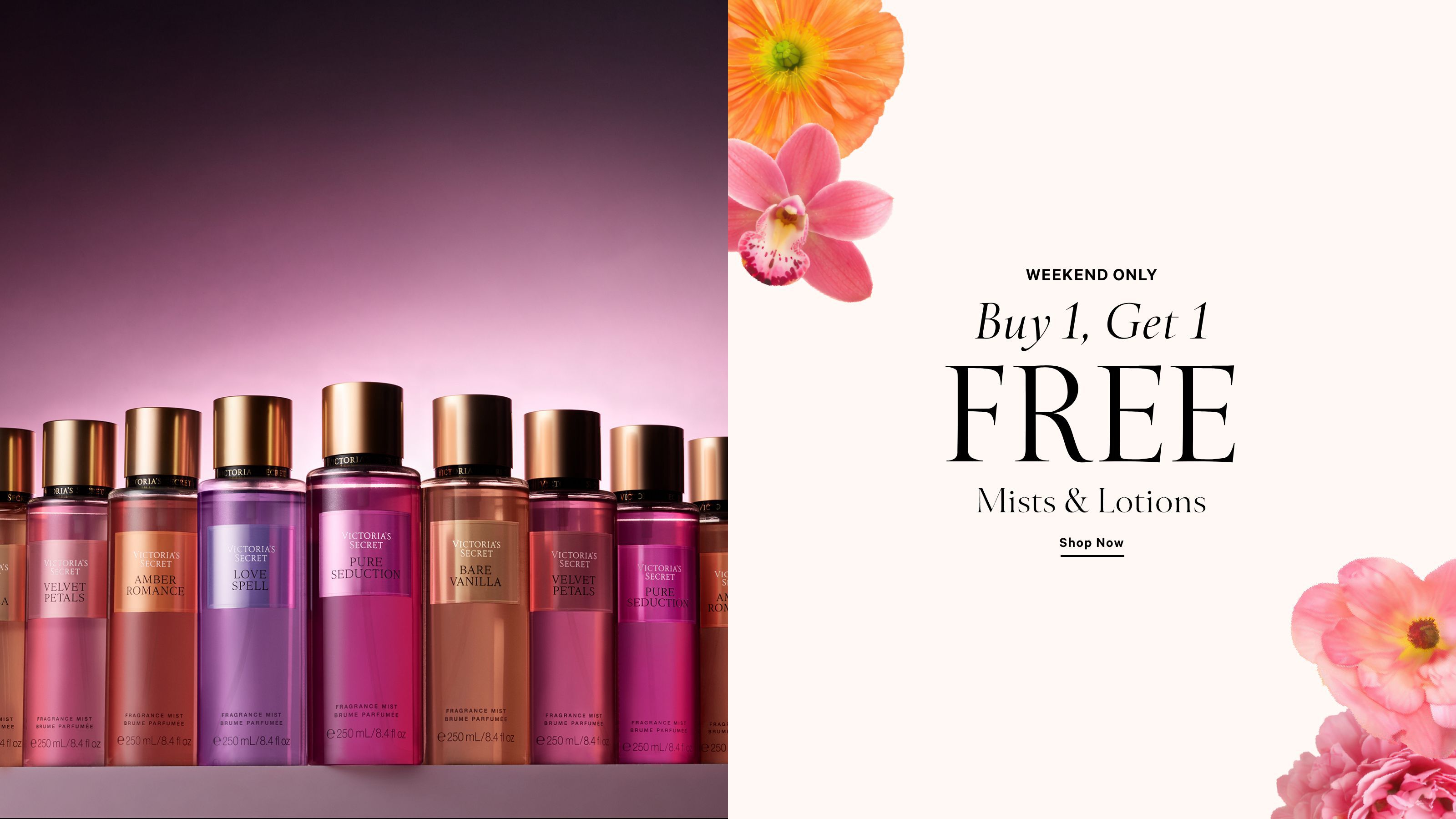 VSL-HB2-TMCWDAYOFFER