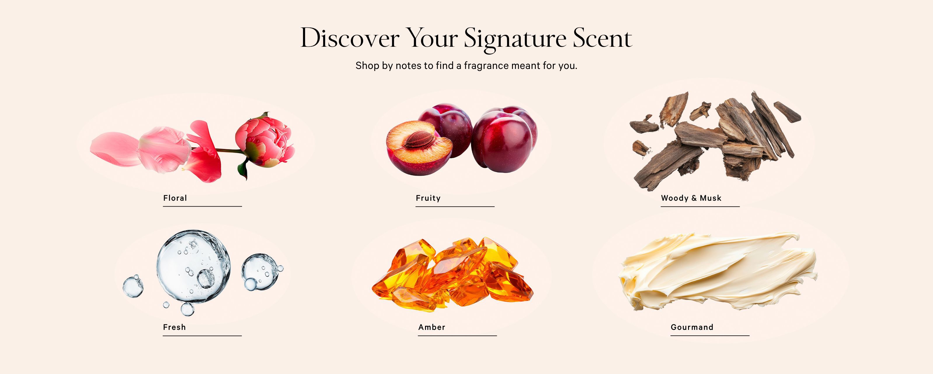 Beauty-HB5-Fragrance Finder