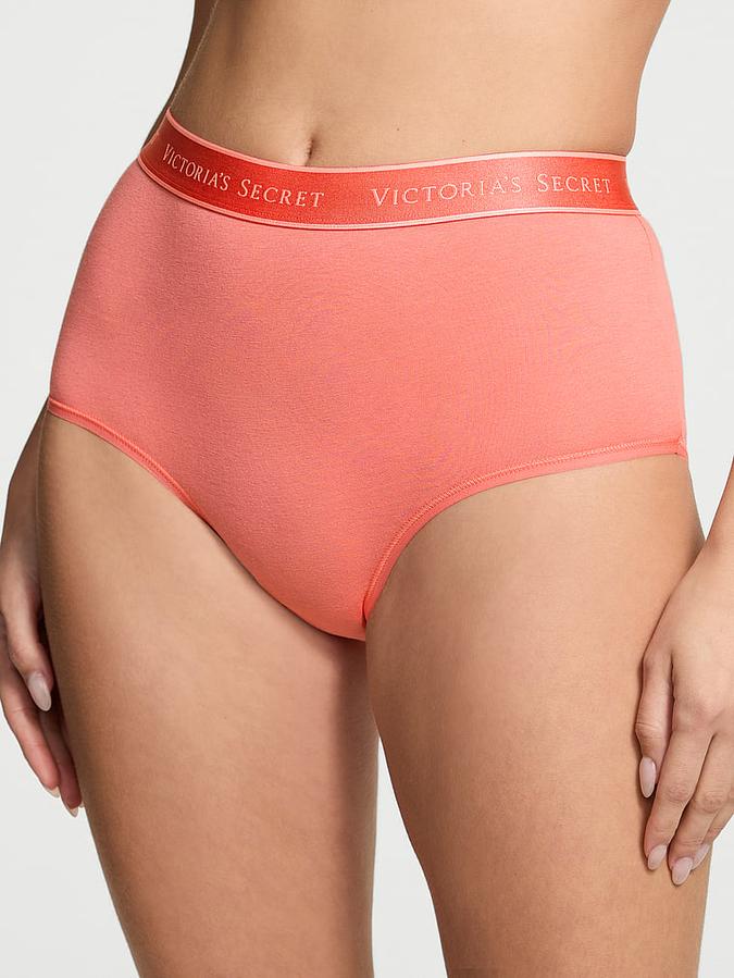 Logo Cotton Modern Brief Panty image number 0