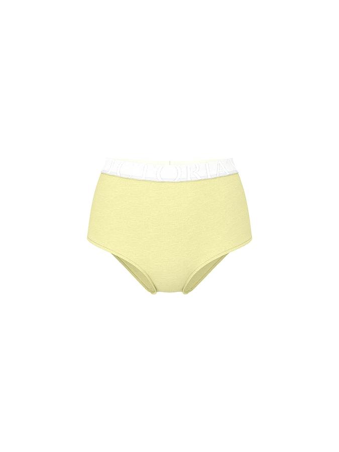 Exploded Logo Cotton Modern Brief Panty image number 2