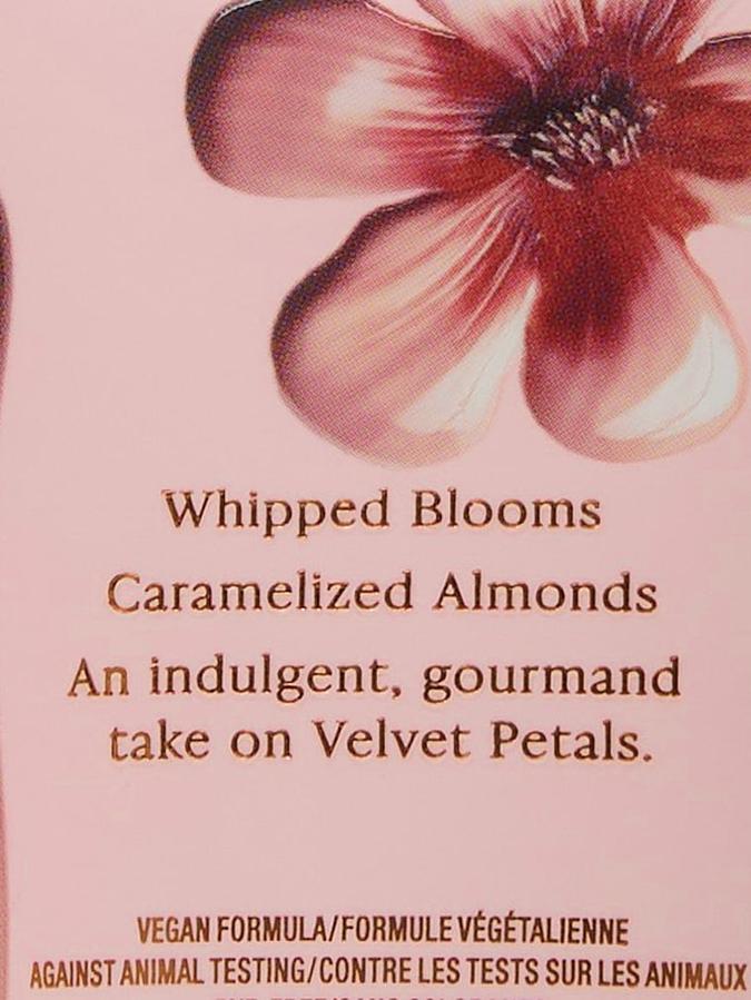 Velvet Petals Brulee Fragrance Lotion