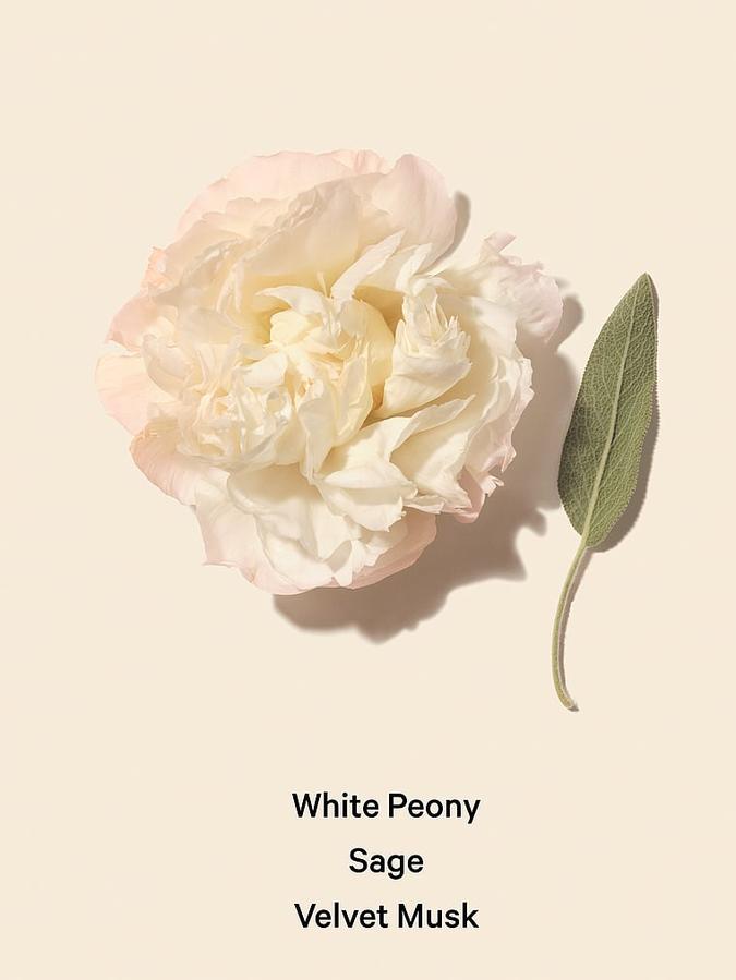 Bombshell Seduction Body Lotion