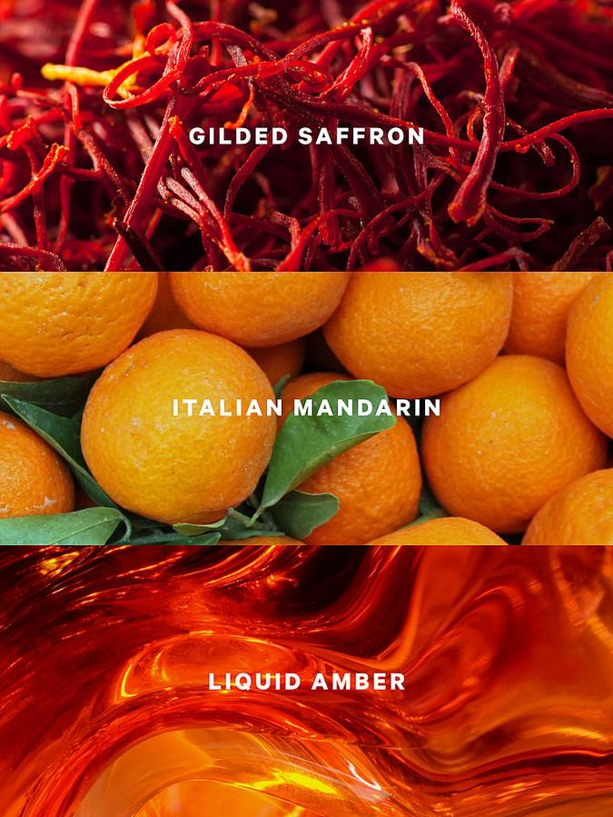 Golden Saffron Amber Fragrance Lotion image number 3