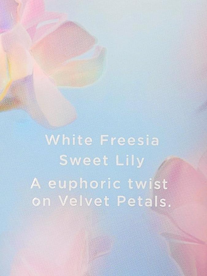 Velvet Petals Bliss Body Lotion