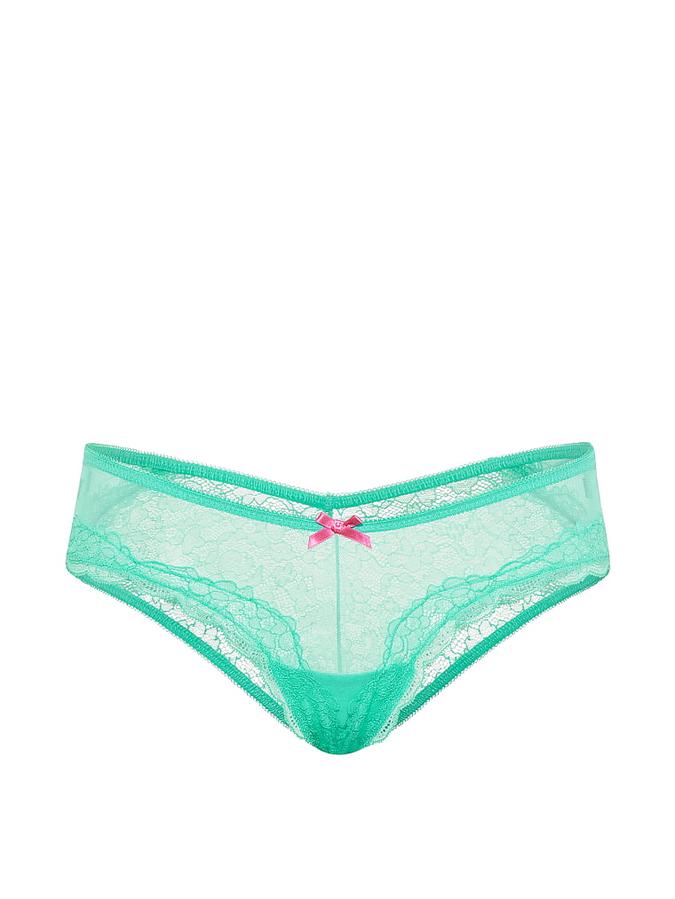 Tease Mesh & Lace Cheeky Panty image number 2