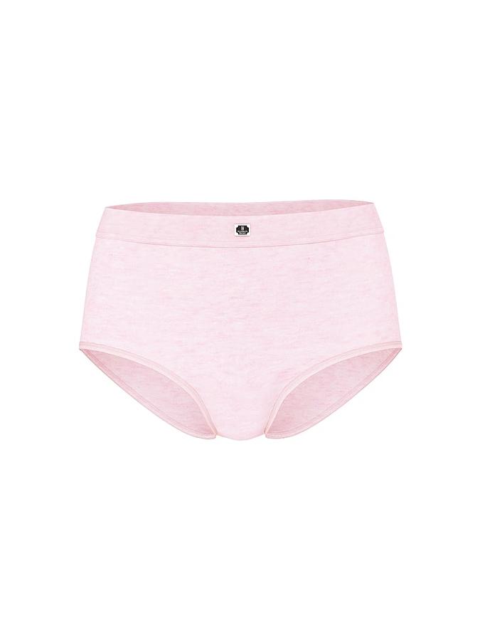 Logo Cotton Modern Brief Panty image number 2