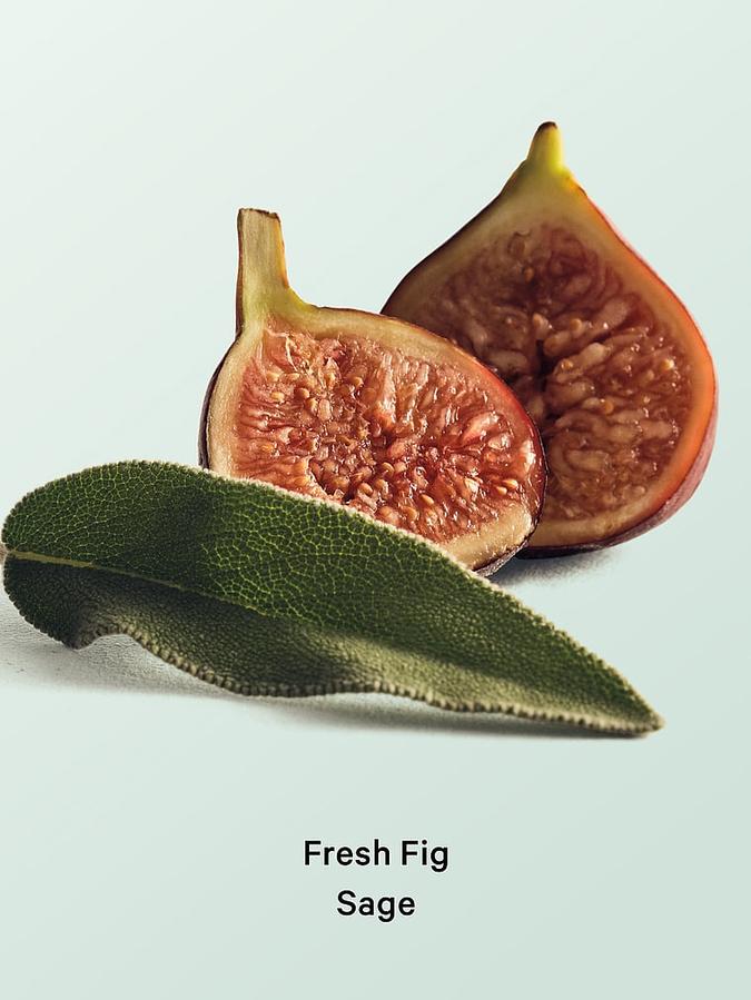 Fresh Fig Sage Natural Beauty Body Oil image number 2