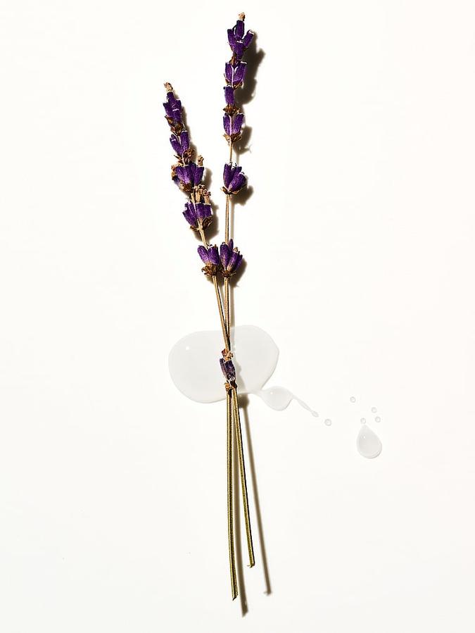 Lavender Vitamin E Body Scrub image number 1