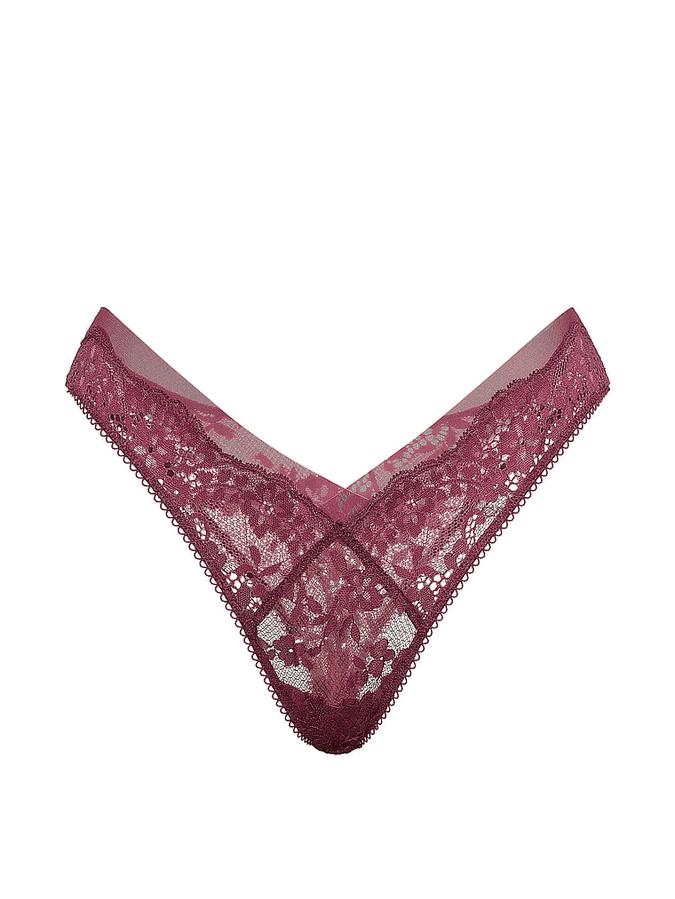 Lace & Mesh Brazilian Panty image number 2