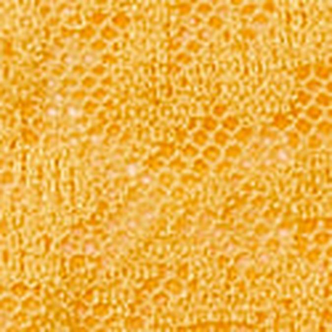 Buy Unlined LaceUp Corset Top Online Victoria's Secret India