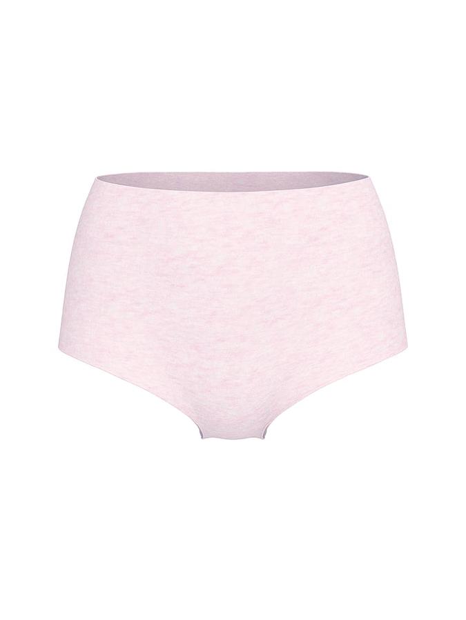 No-Show Cotton High-Waist Brief Panty image number 2