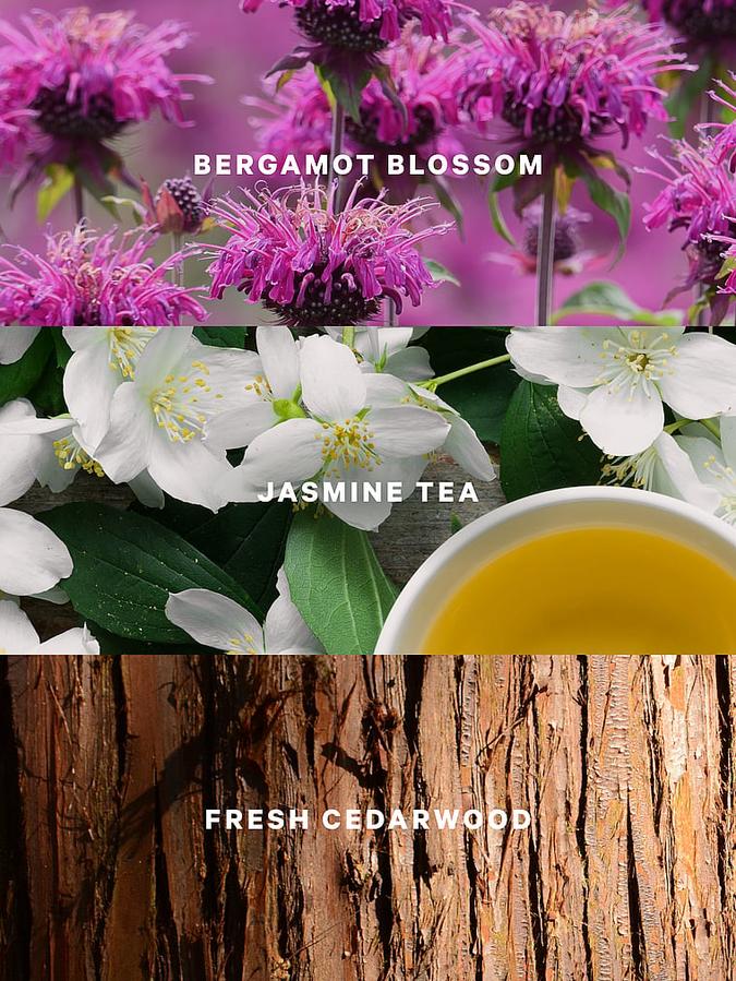 Jasmine Tea Sunrise  Body Lotion image number 2
