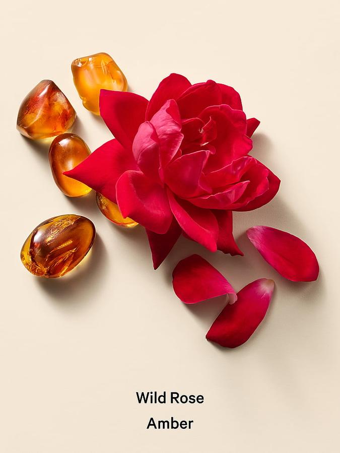 Wild Rose Amber Cream Body Wash image number 2