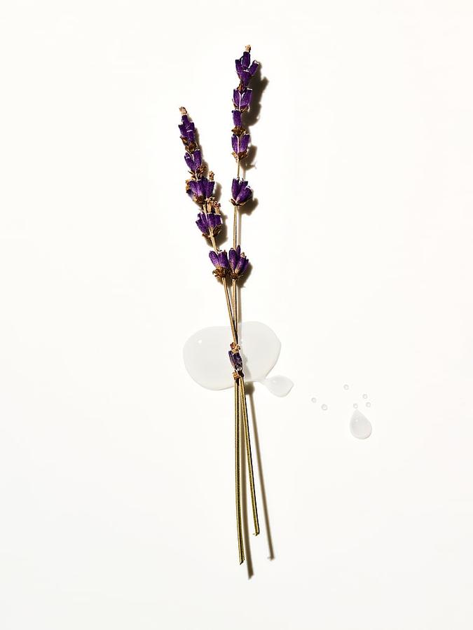 Lavender Vitamin E Mini Body Lotion image number 1